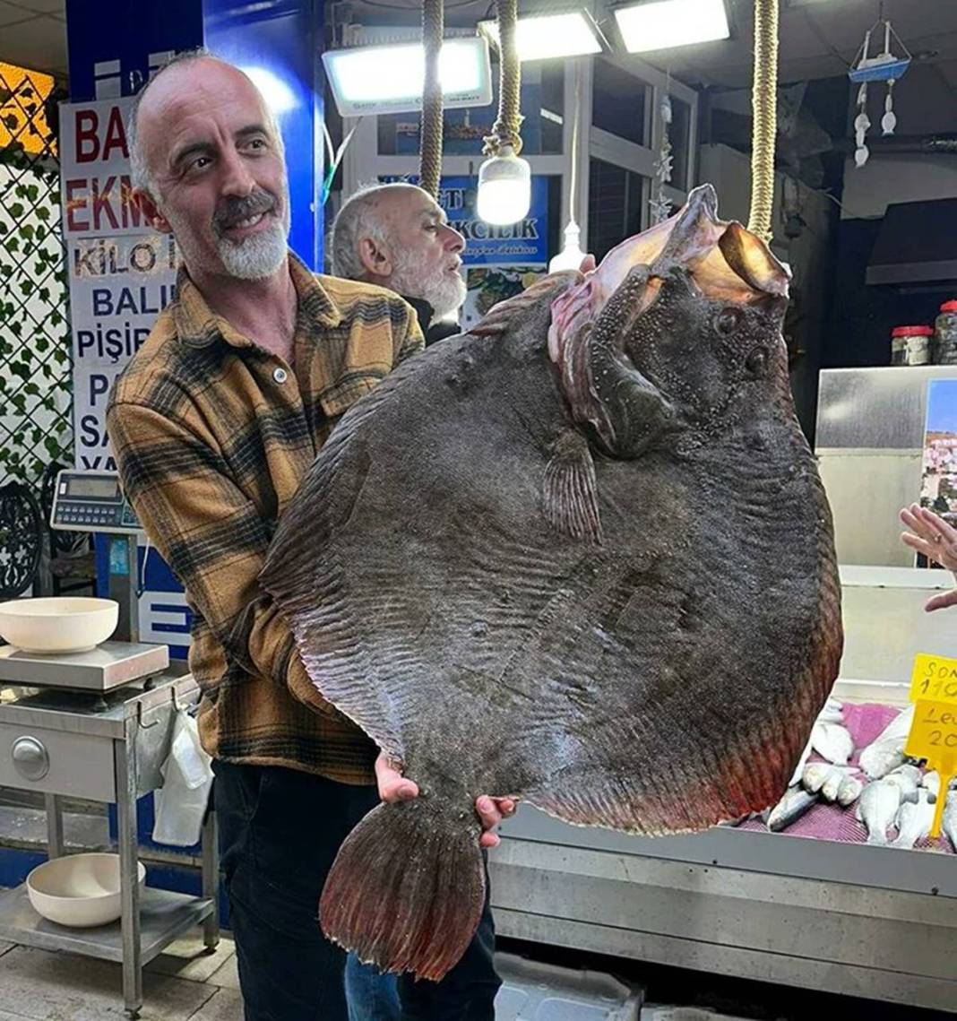Bu balığa öyle fiyat istediler ki günlerce satılmadı! Tam 11,5 kg ağırlığında, bir aile doyar 2
